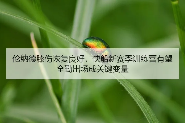 lun-na-de-xi-shang-hui-fu-liang-hao-kuai-chuan-xin-sai-ji-xun-lian-ying-you-wang-quan-qin-chu-chang-cheng-guan-jian-2-713.jpg
