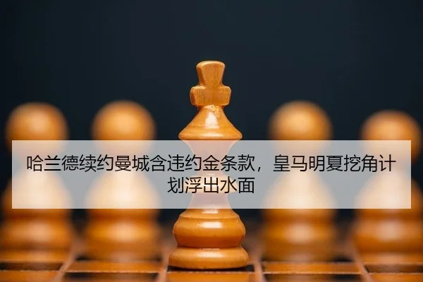 ha-lan-de-xu-yue-man-cheng-han-wei-yue-jin-tiao-kuan-huang-ma-ming-xia-wa-jiao-ji-hua-fu-chu-shui-mian-2-704.jpg